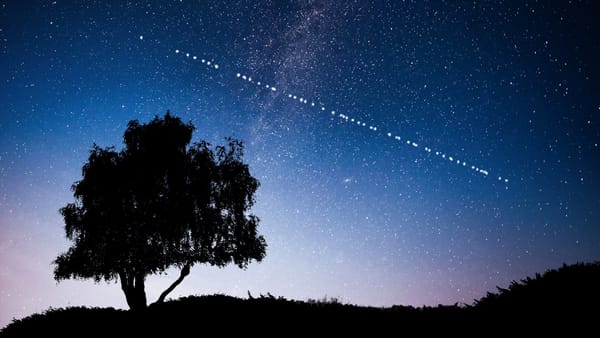 The Future of Work Travel: Starlink, Wi-Fi, and the Death of Dead Time