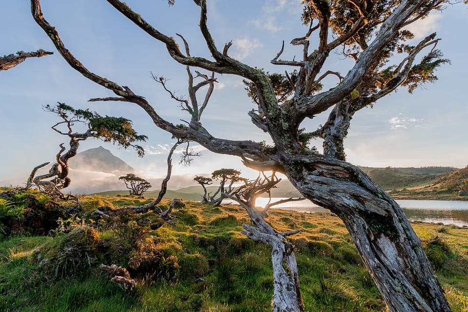 How High-Spending SMBs Can Unlock $100K+ in Free Travel Every Year